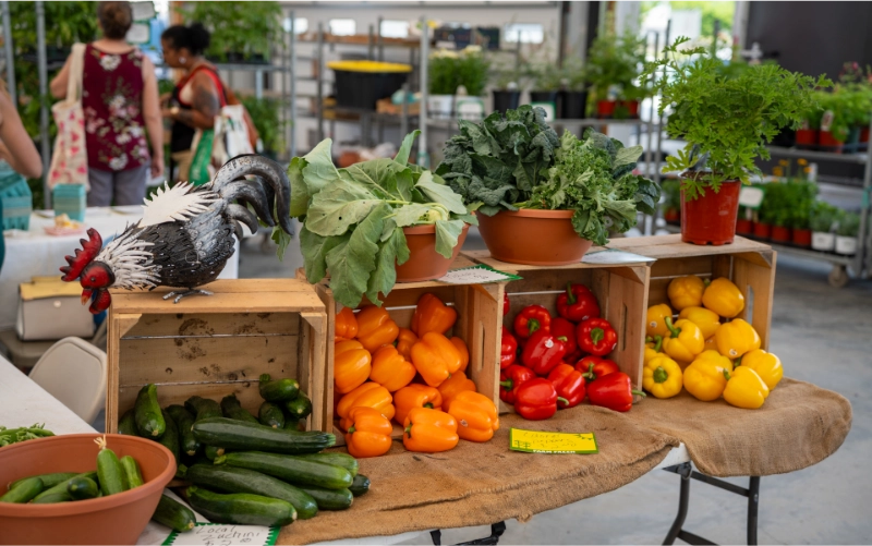Vegetables on Display