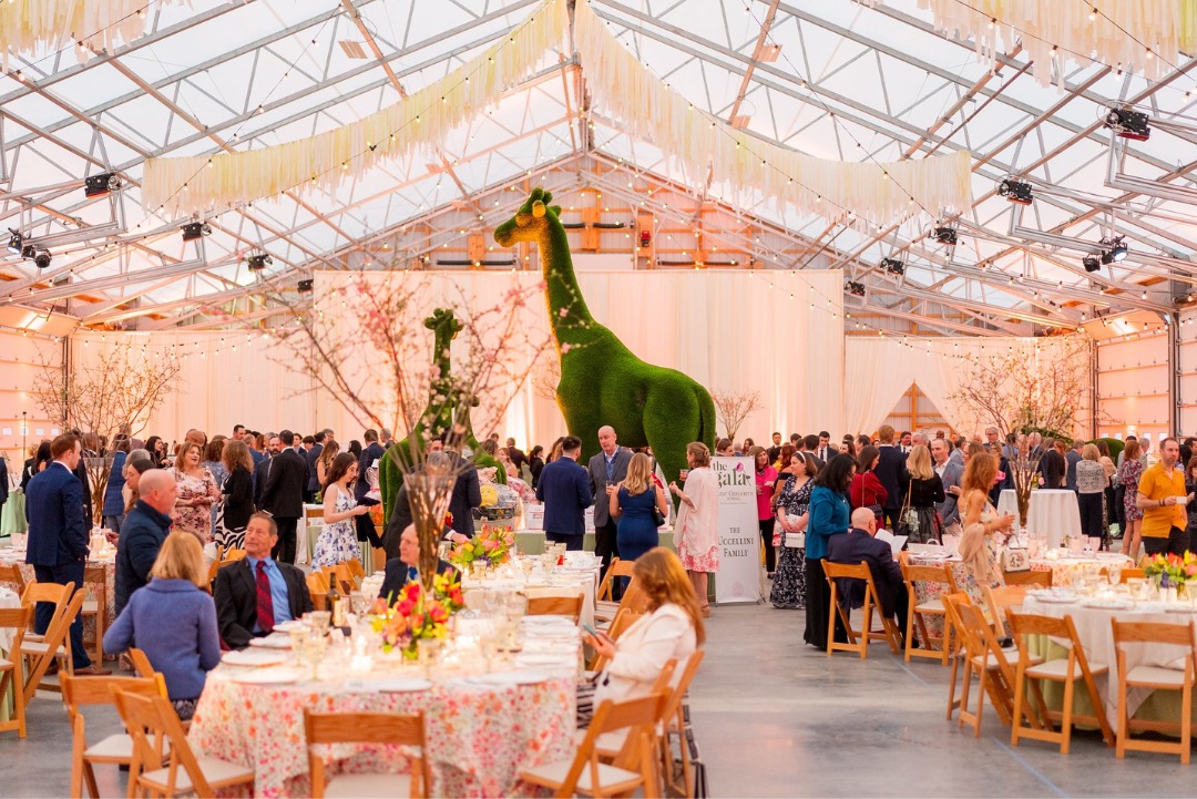 CDRM | Pavilion Rentals 4